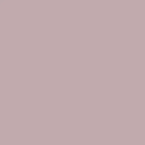 AGF PURE Signature Solids // Monet