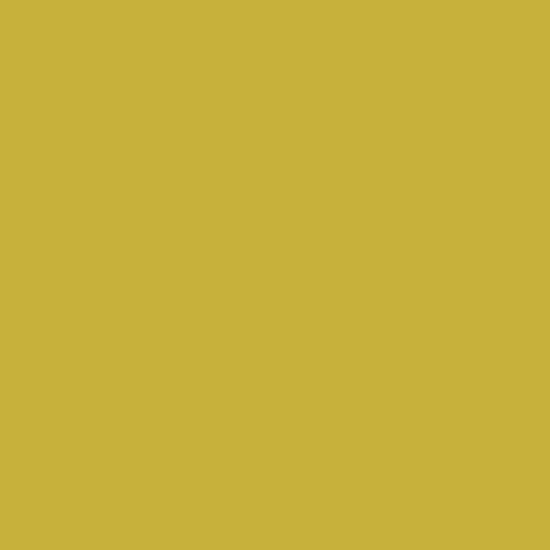 AGF PURE Solids // Olive Oil