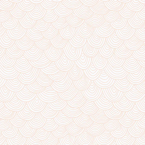 Wildest Dreams // Vanilla Scallop // Rachel Parker
